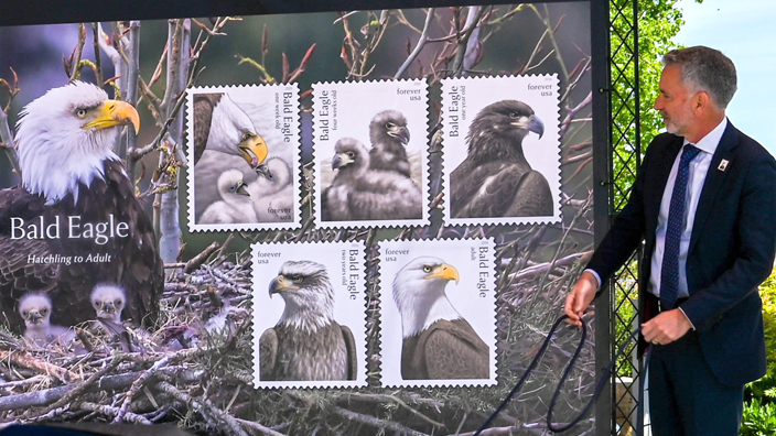 Three people standing outdoors on either side of an enlarged image of the Bald Eagle: Hatchling to Adult stamps