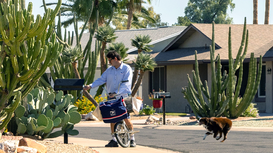 Letter carrier on bike delivering to a mailbox while a dog runs toward him