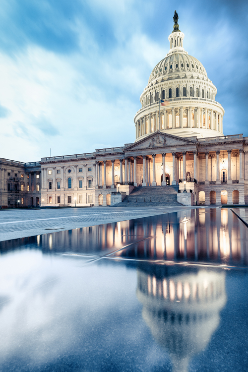A photo of the U.S. Capitol in Washington, DC.