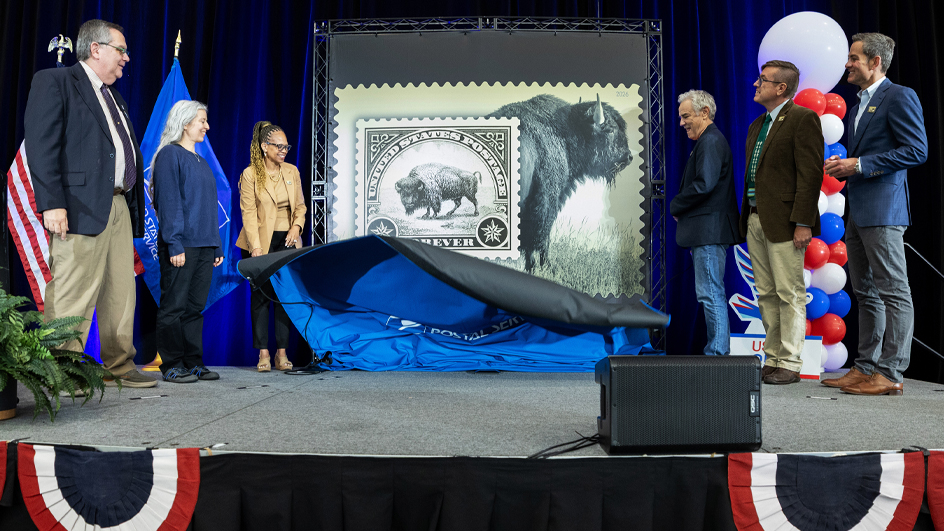 Two groups of three people standing on a stage and on either side of an enlarged image of the American Bison stamp