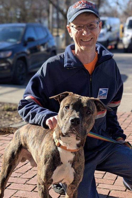 A postal worker in uniform kneeling next to a dog on a brick walkway