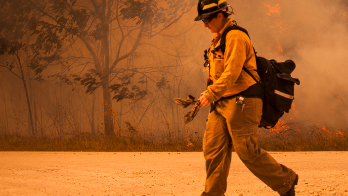 A firefighter walking by a wooded area obscured by smoke and fire