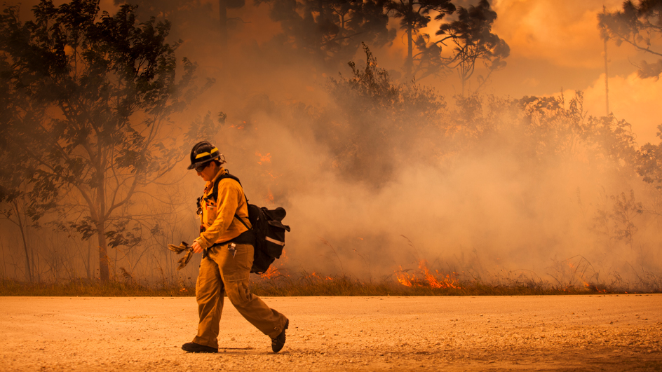 A firefighter walking by a wooded area obscured by smoke and fire