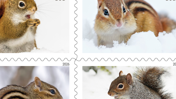 A block of four postage stamps with photographs of brown and gray squirrels and chipmunks in the snow