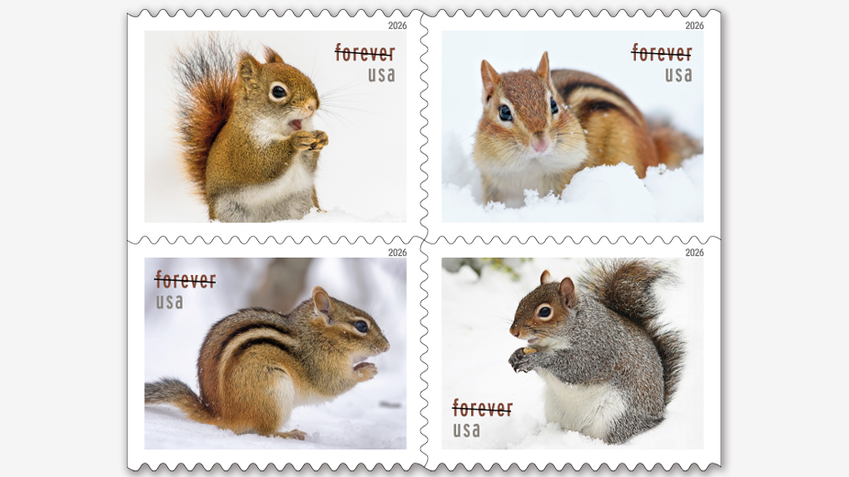 A block of four postage stamps with photographs of brown and gray squirrels and chipmunks in the snow