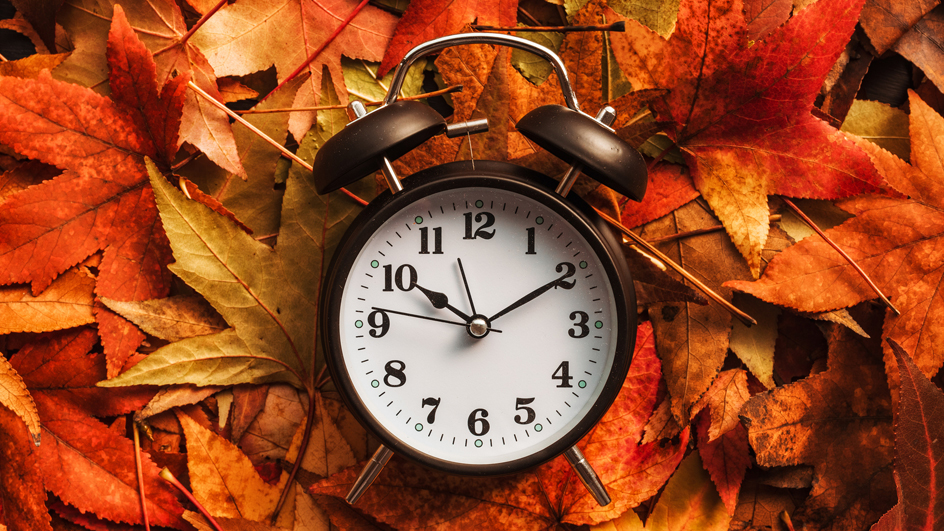 Vintage alarm clock sitting on top of dry orange and yellow leaves
