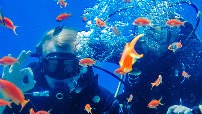 Two underwater scuba divers swimming among brightly colored fish and coral reefs