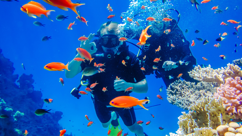 Two underwater scuba divers swimming among brightly colored fish and coral reefs